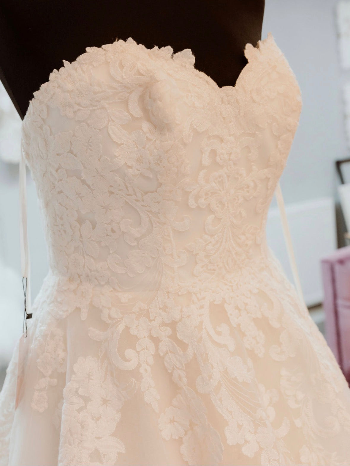 Hina Wedding Dress By Ronald Joyce