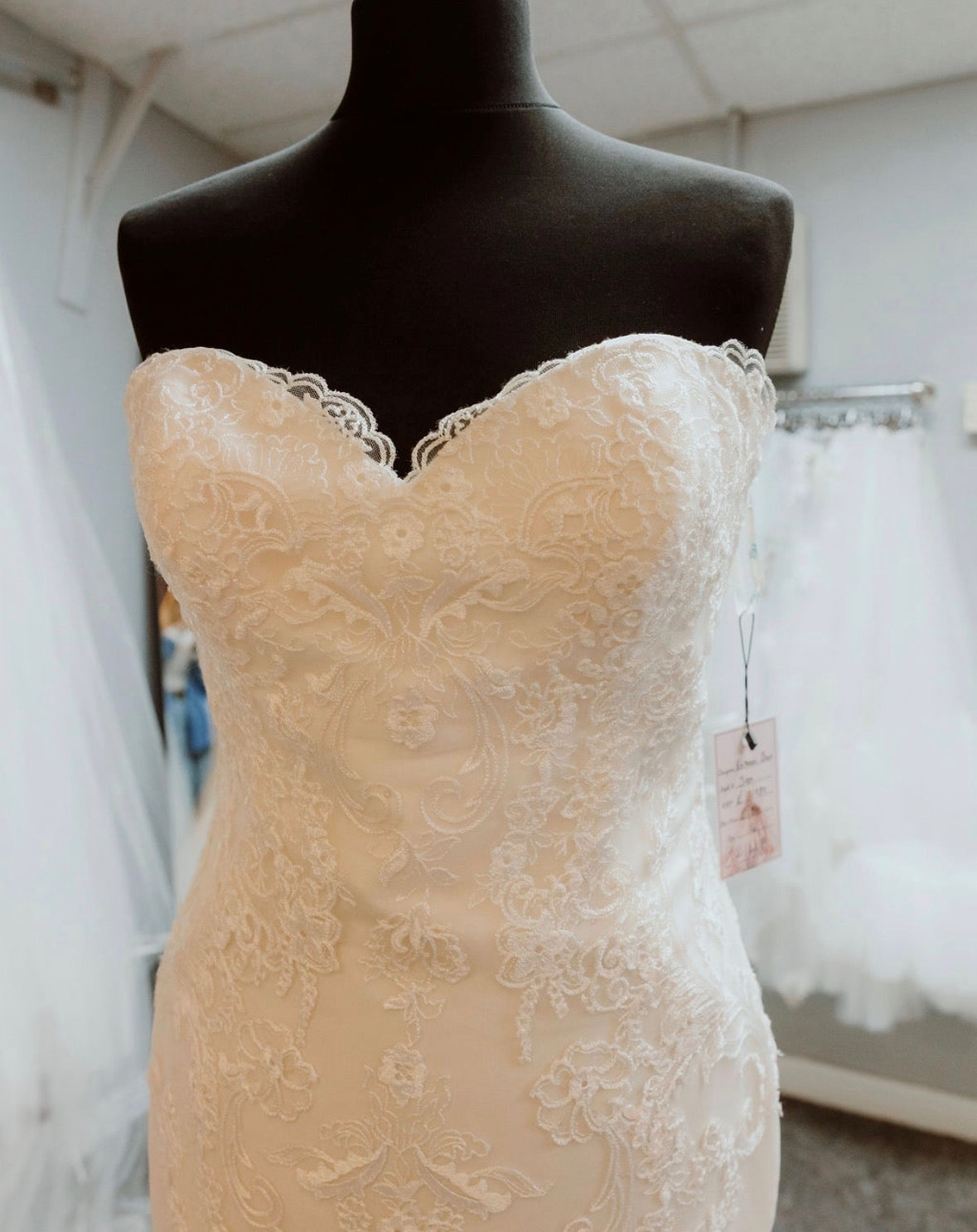 Jion  Wedding Dress By Enzoani
