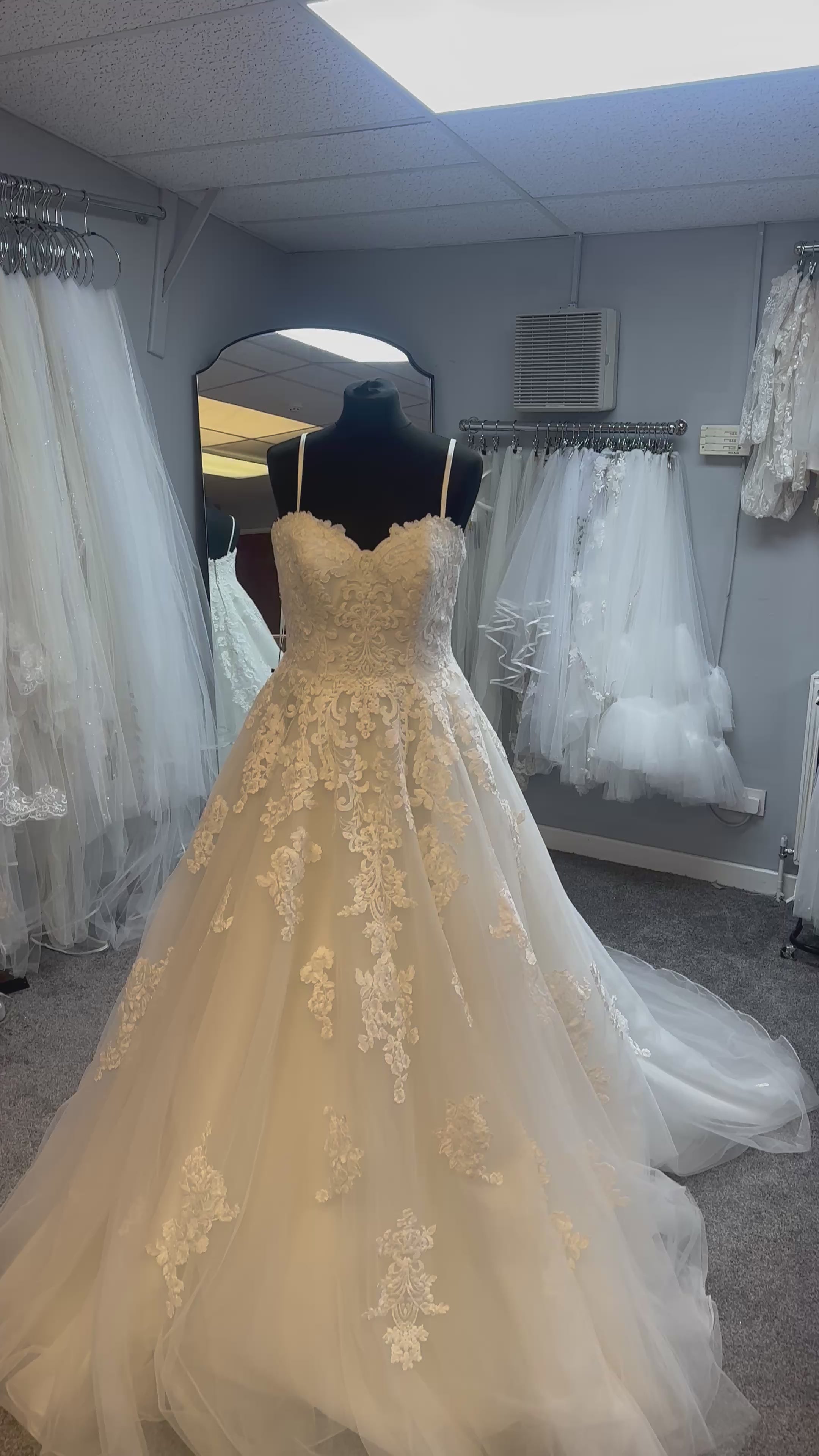 Hina Wedding Dress By Ronald Joyce